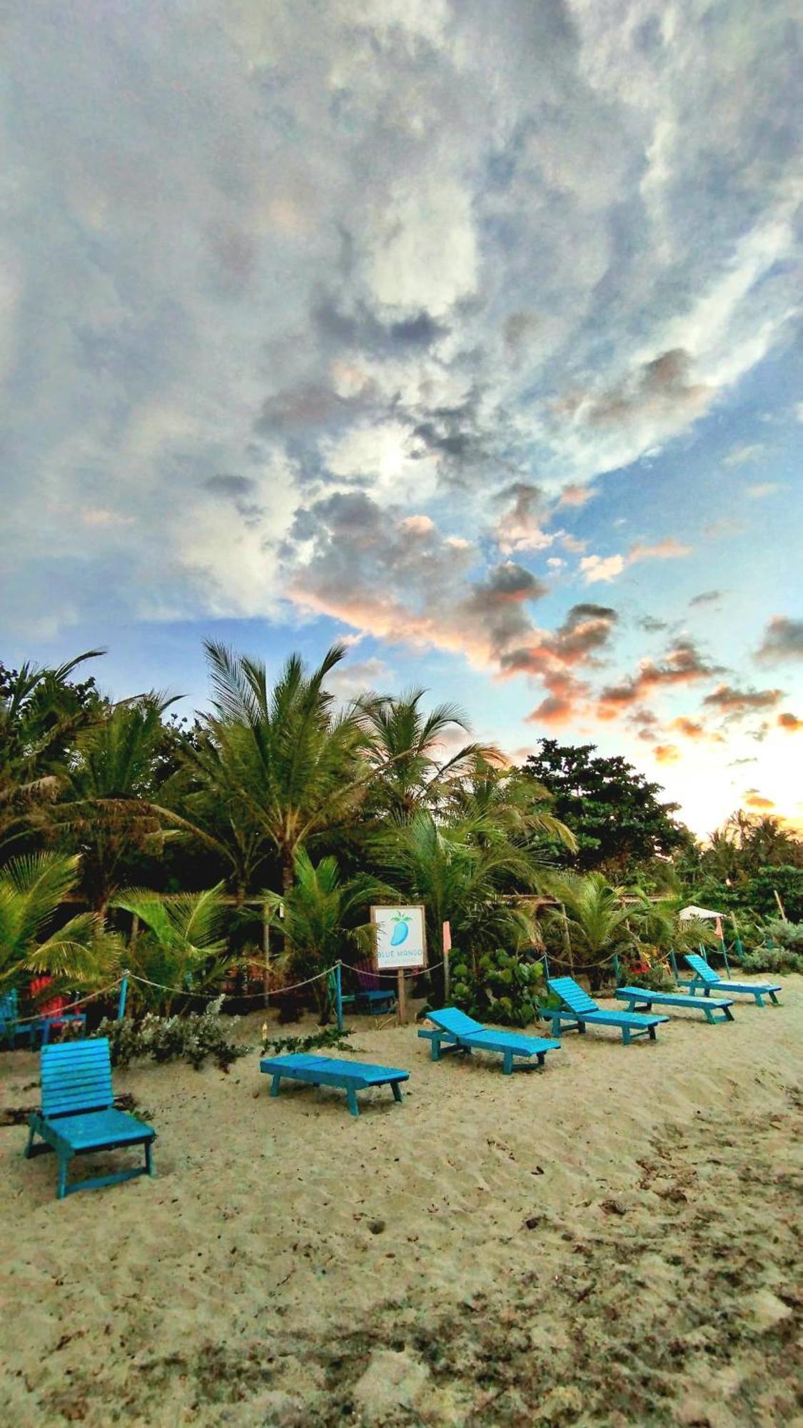 Blue Mango Beach Hotel Guachaca Dış mekan fotoğraf